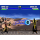 Switch Mortal Kombat: Legacy Kollection Deluxe Edition - 1354912 - zdjęcie 3